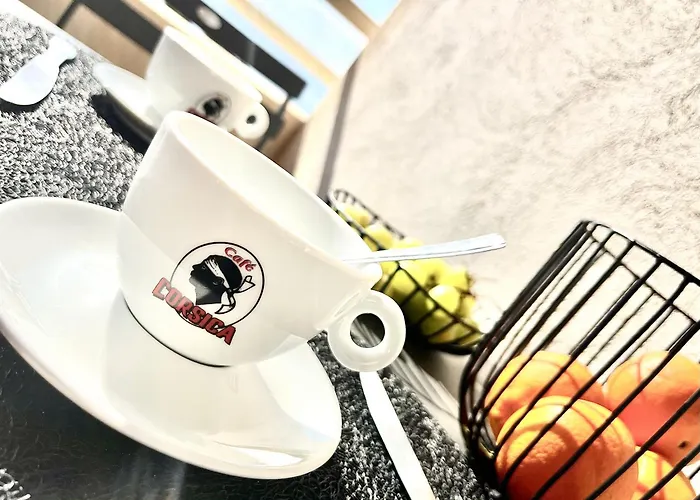 Aria Marina Duplex Vue Route Des Sanguinaires, à 50m, Parking Gratuit, 4 Pers Appartement