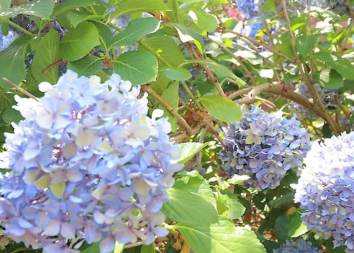 Aria Marina Duplex Vue Route Des Sanguinaires, à 50m, Parking Gratuit, 4 Pers Appartement Ajaccio (Corsica)