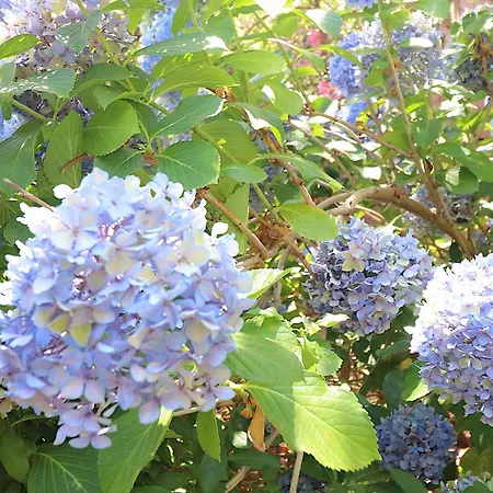 Aria Marina Duplex Vue Route Des Sanguinaires, A 50m, Parking Gratuit, 4 Pers דירה אז'אקסיו